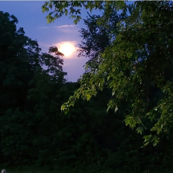 834K, LIKE 4 BLUES DROPS! Xo Carol PLS SHARE & ALWAYS GAIN NEW FOLLOWERS! Xo - Picture 12 of 16